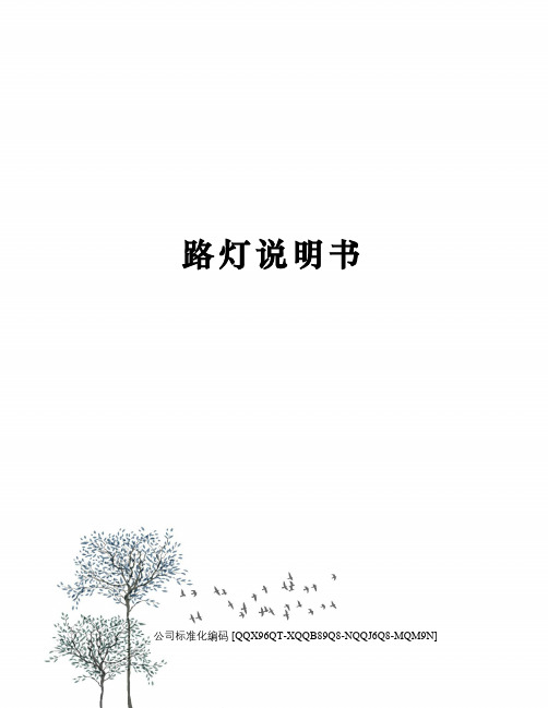 路灯说明书
