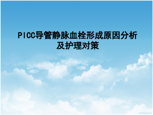 PICC案例分析 PPT课件
