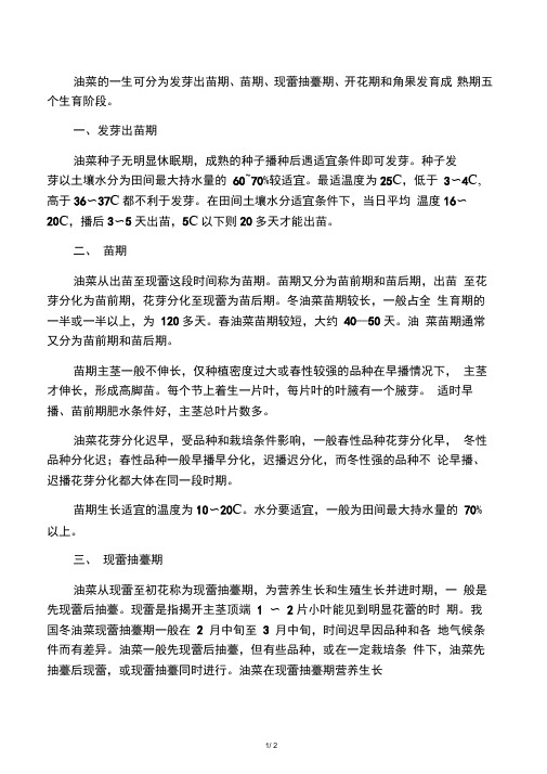 油菜的生长阶段