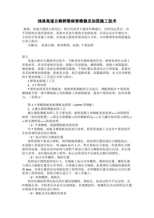 浅谈高速公路桥梁病害维修及加固施工技术