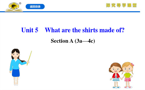 20版英语初中《金榜学案》九年级全册Unit 5 Section A(3a—4c)配套课件