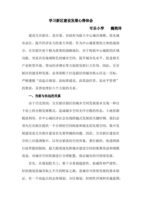 学习新区建设发展心得体会