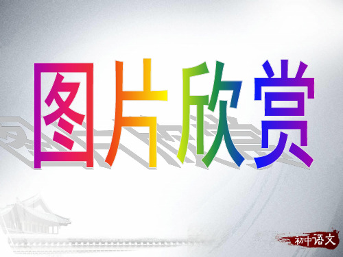 经典：新版人教部编版七年级下册第3课--回忆鲁迅先生(节选)