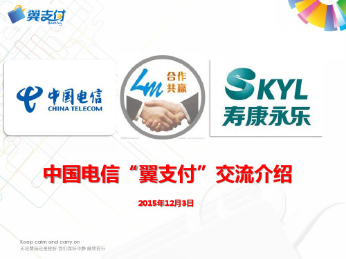 中国电信翼支付交流介绍(for寿康永乐)-5