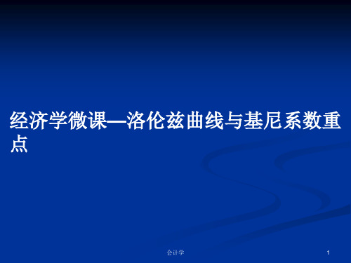 经济学微课—洛伦兹曲线与基尼系数重点PPT教案