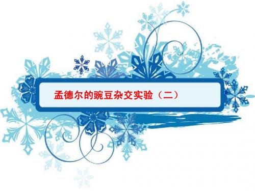 孟德尔的豌豆杂交实验(二)