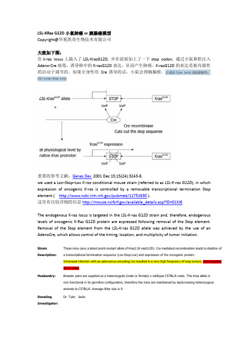 LSL-KRas G12D小鼠肺癌or胰腺癌模型-华夏凯奇