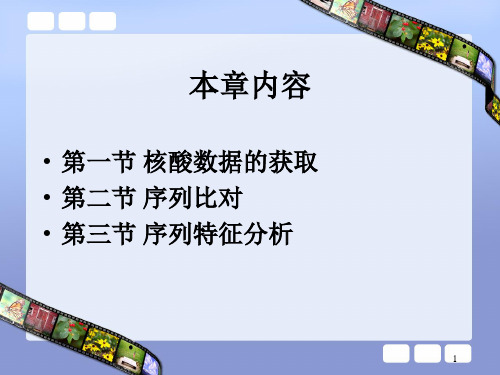 核酸序列及数据分析-PPT幻灯片