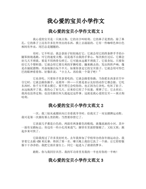 我心爱的宝贝小学作文