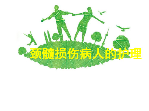 颈髓损伤病人的护理