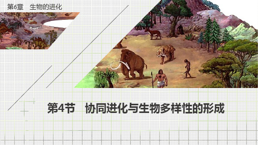《协同进化与生物多样性的形成》人教版完美PPT