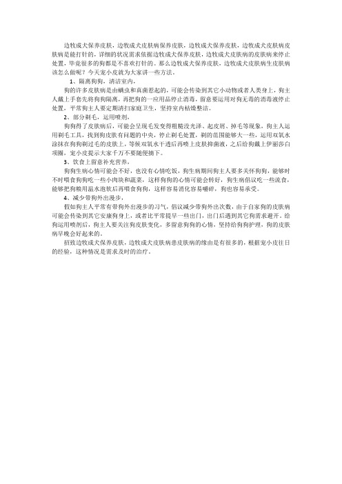 边牧成犬怎么保养皮肤？宠小皮告诉你边牧成犬生皮肤病怎么打针
