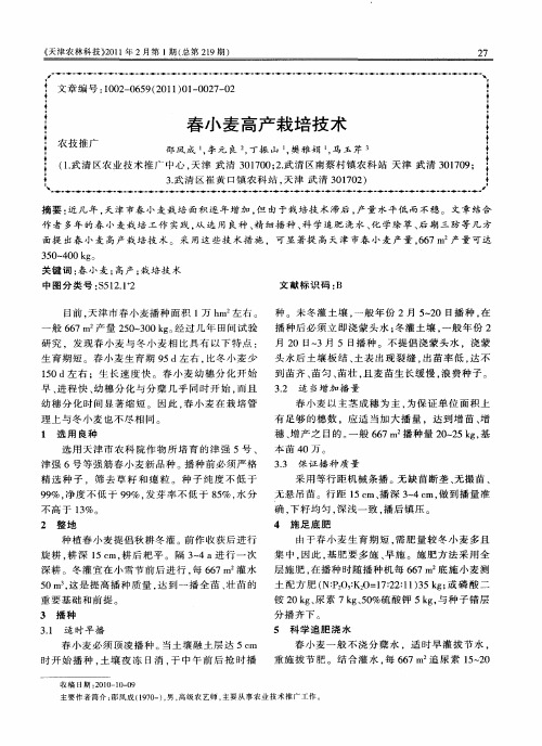 春小麦高产栽培技术