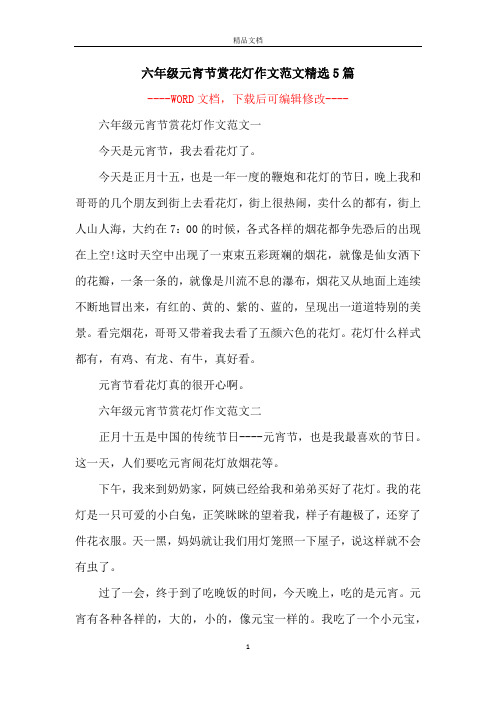 六年级元宵节赏花灯作文范文精选5篇
