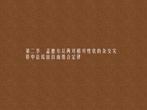 新浙科版必修二孟德尔从两对相对性状的杂交实验中总结出自由组合定律课件(46张)