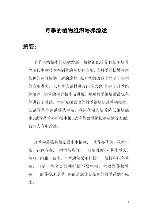 月季的植物组织培养综述
