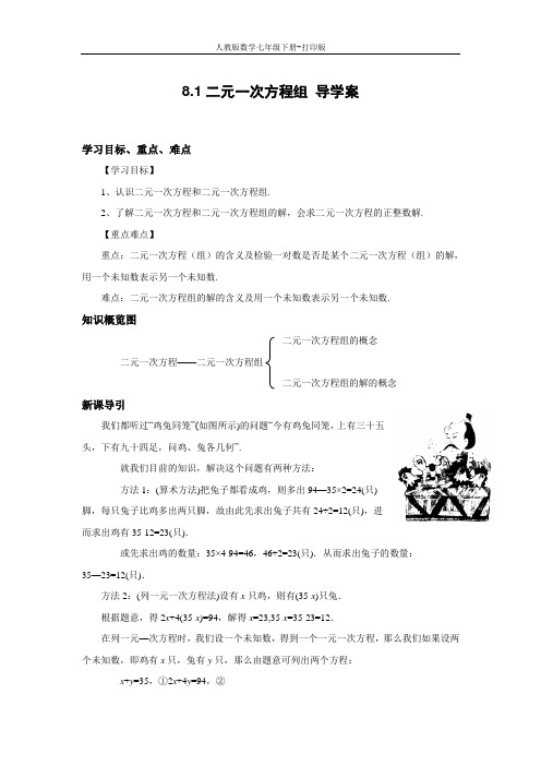 人教版数学七年级下册-《二元一次方程组》导学案