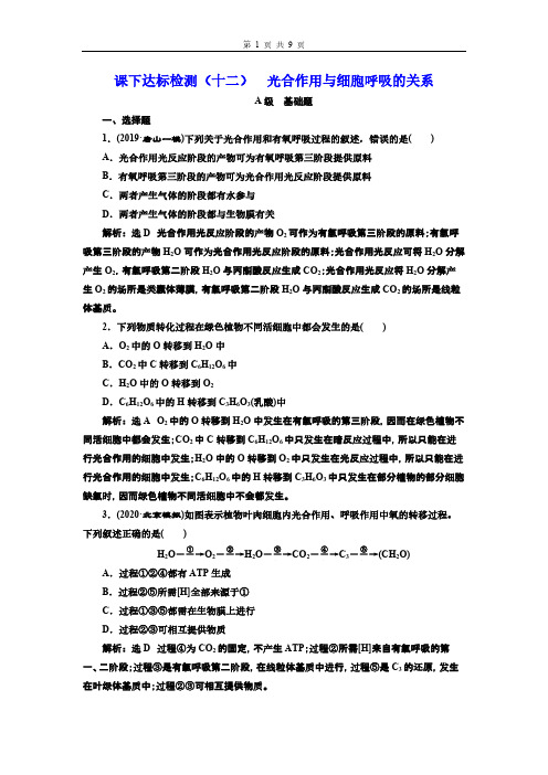 高中生物课达标检测  光合作用与细胞呼吸的关系