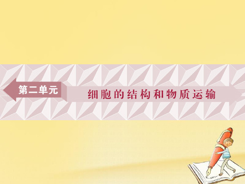 2018版高考(全国)生物大一轮复习课件：第二单元 细胞的结构和物质运输 第5讲 Word版含解析