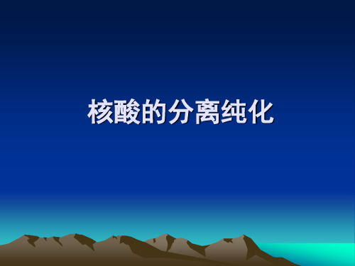 核酸的分离纯化