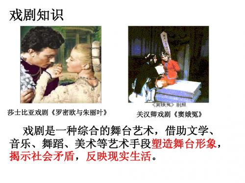 《钦差大臣》修改课件课件2