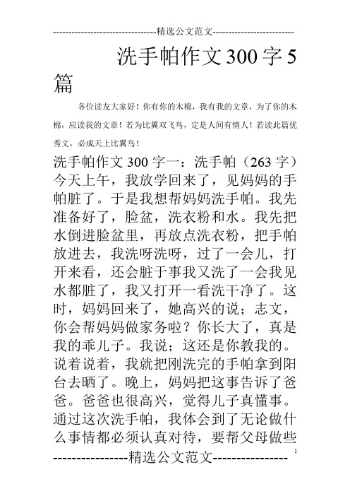 洗手帕作文300字5篇_0