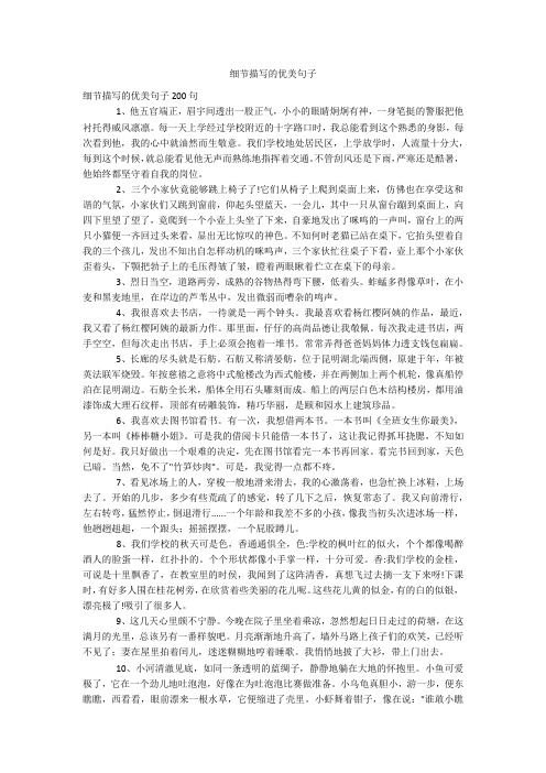 细节描写的优美句子