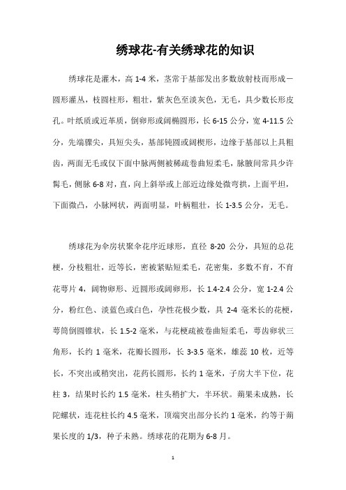 绣球花-有关绣球花的知识