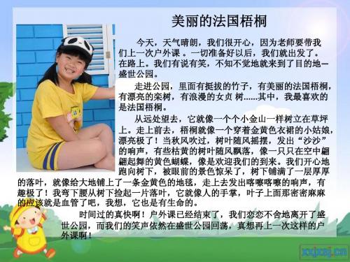 四年级 美丽的法国梧桐