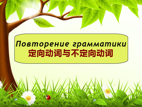 高中俄语《Повторение грамматики定向动词与不定向动词》优质教学课件