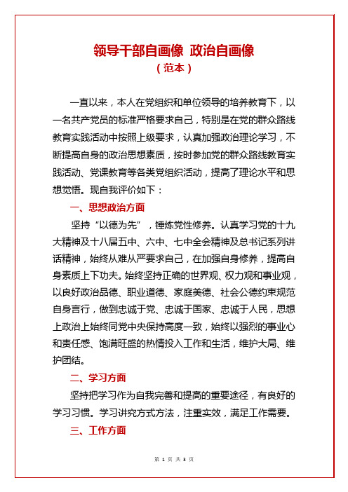 领导干部自画像 政治自画像(范本)