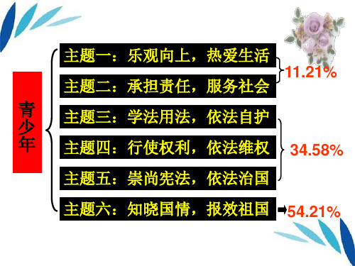 中考政治一轮复习专题一 学法守法课件
