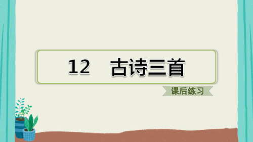 典中点习题课件