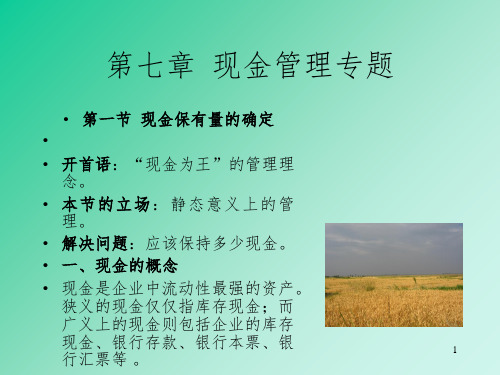现金管理专题PPT课件