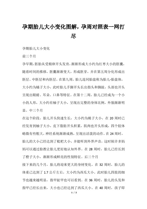 孕期胎儿大小变化图解,孕周对照表一网打尽