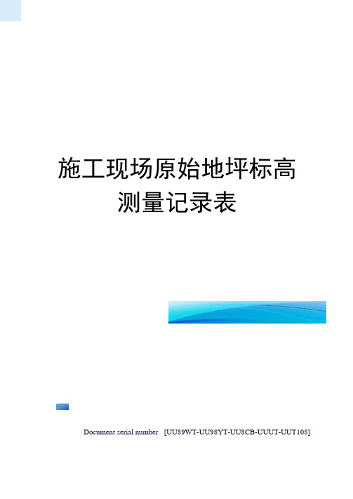 施工现场原始地坪标高测量记录表