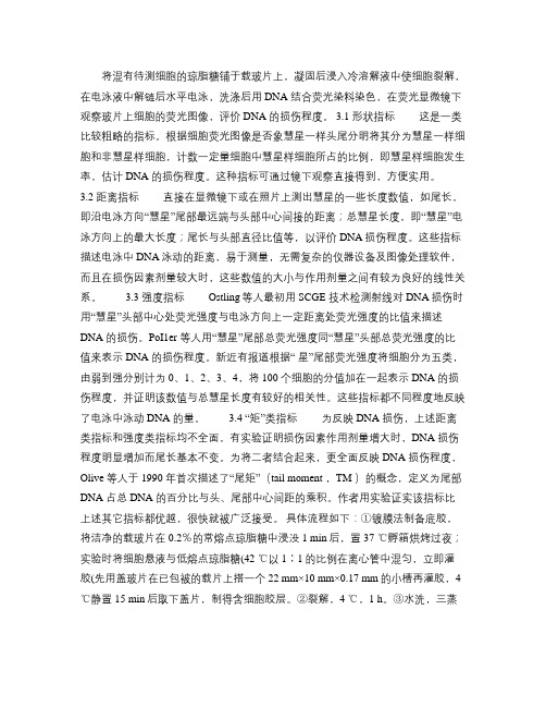 @单细胞凝胶电泳