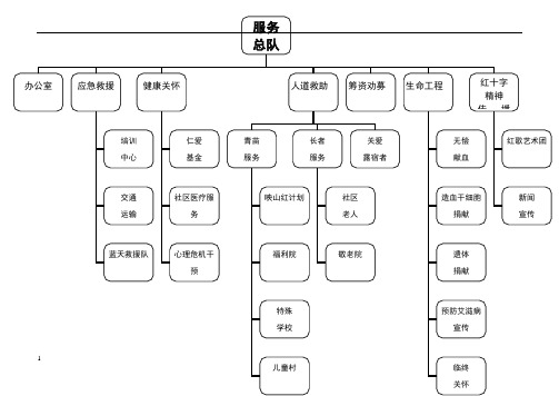 志愿服务总队组织结构图