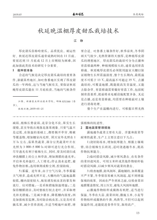 秋延晚温棚厚皮甜瓜栽培技术