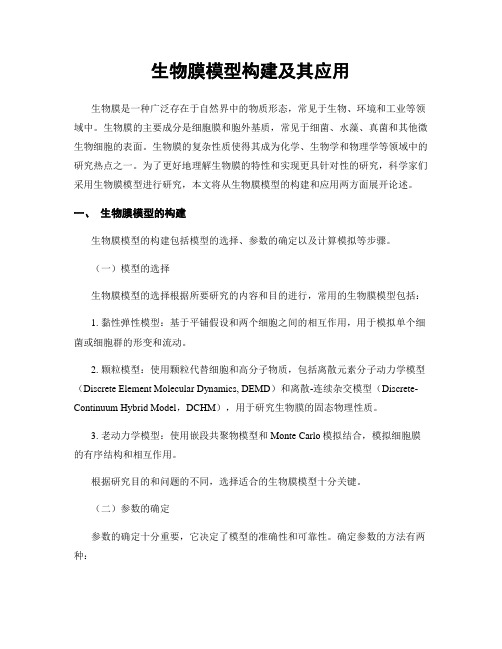生物膜模型构建及其应用