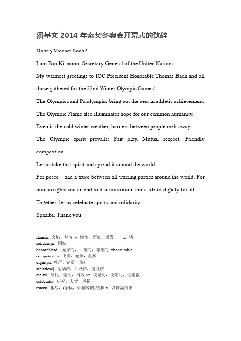 潘基文2014年索契冬奥会开幕式的致辞