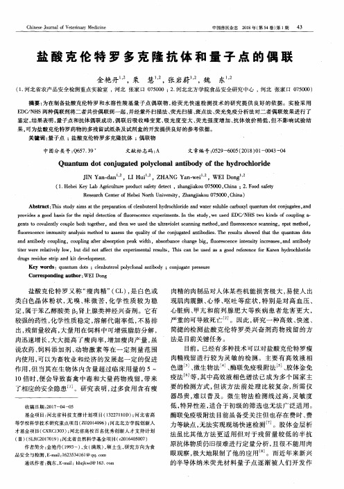 盐酸克伦特罗多克隆抗体和量子点的偶联