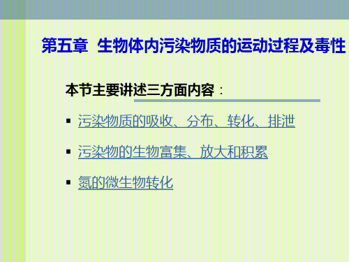第5章：生物体内污染物质的运动过程及毒性