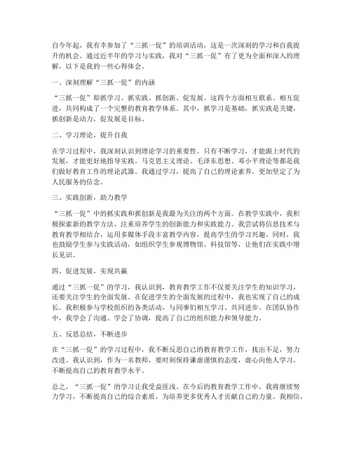 教师三抓一促心得体会