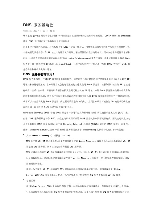DNS 服务器角色