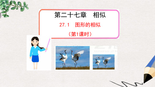 九年级数学下册第27章相似27.1图形的相似1课件新版新人教版