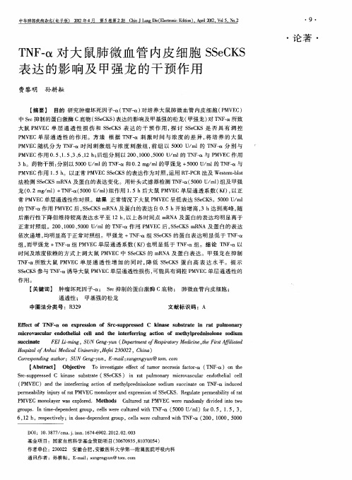 TNF-α对大鼠肺微血管内皮细胞SSeCKS表达的影响及甲强龙的干预作用