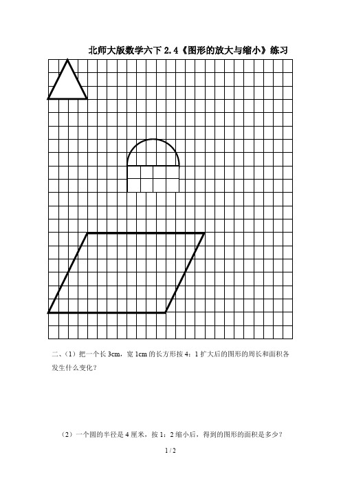 北师大版数学六下2.4《图形的放大与缩小》练习