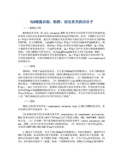 与B细胞识别、粘附、活化有关的CD分子