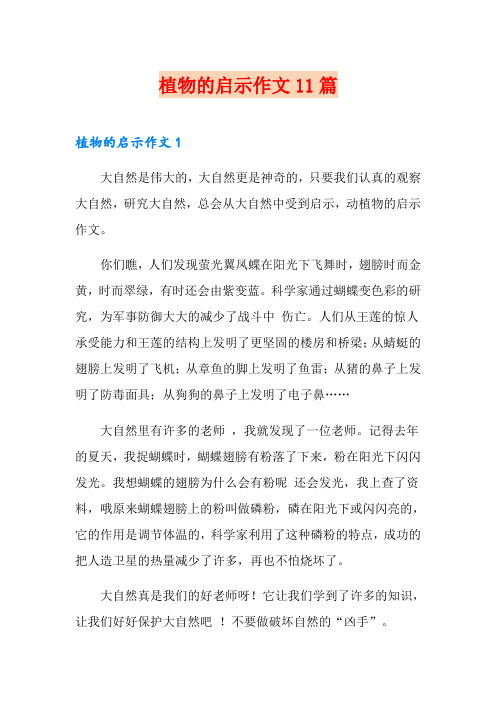 植物的启示作文11篇